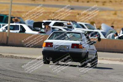 media/Feb-22-2025-Team Topak Racing (Sat) [[cb57a51a40]]/86 Party Brigade/Turns 13 and 14/